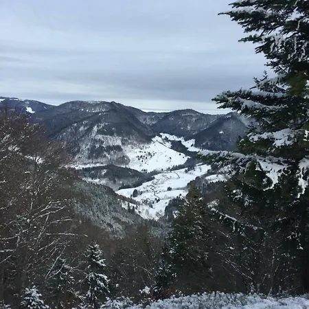 Apartament Mit Charme I *