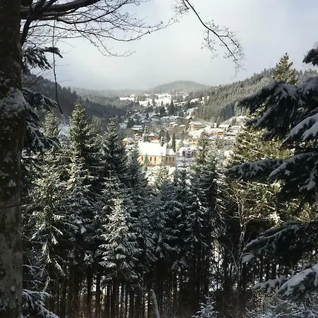 Apartament Mit Charme I *