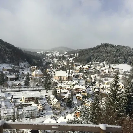 Апартаменты Mit Charme I Тодтмос