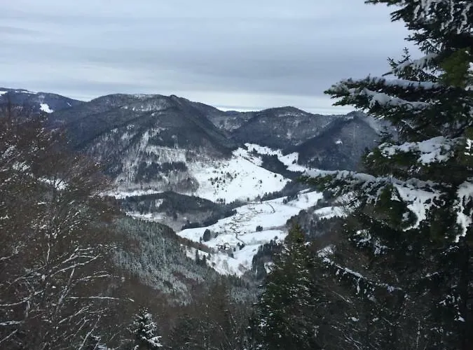 Апартаменты Mit Charme I *