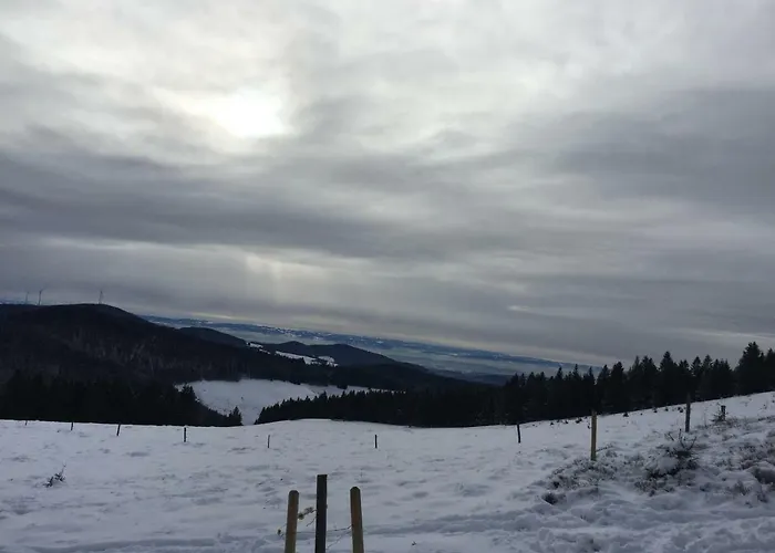 Mit Charme I Apartment